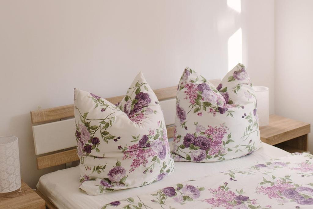 Apartament Z Widokiem-Blizej Zdroju โปลานิซา-สดรอยจ์ ภายนอก รูปภาพ