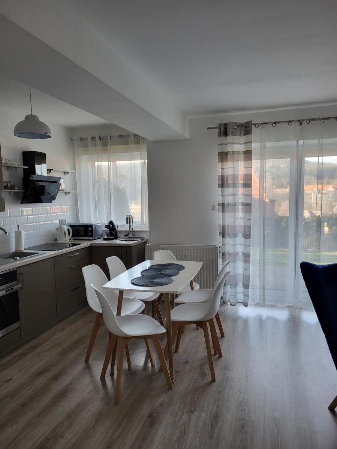 Apartament Z Widokiem-Blizej Zdroju โปลานิซา-สดรอยจ์ ภายนอก รูปภาพ